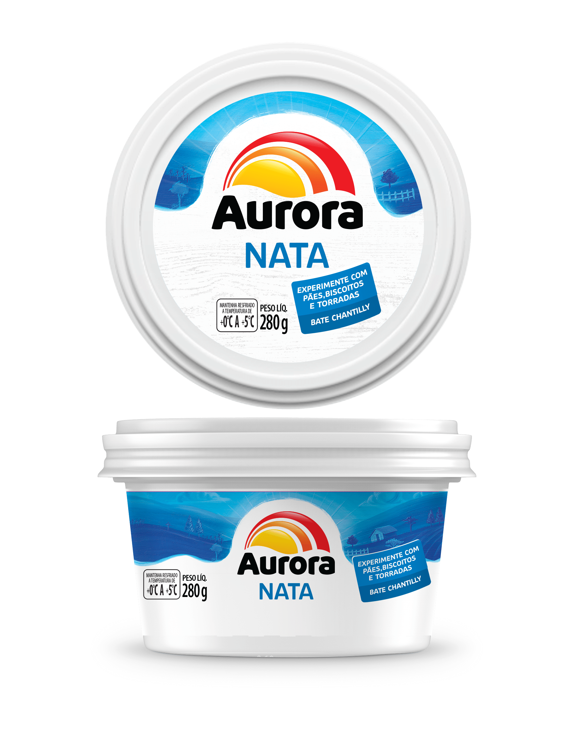 2741- CREME DE LEITE NATA